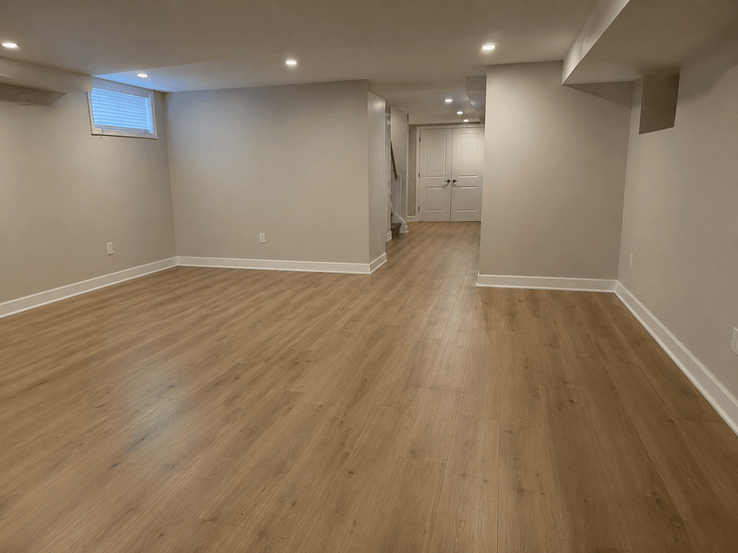 Basement Renovation & Build-Out